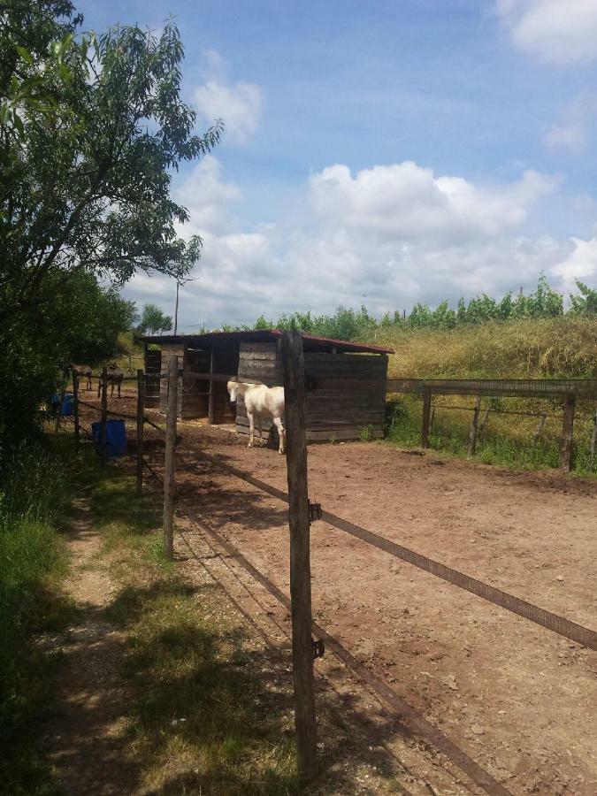 Les Anes De Petit Jean Pierrefeu-du-Var Exterior foto