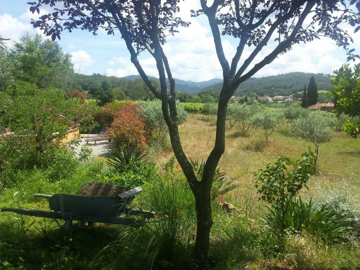 Les Anes De Petit Jean Pierrefeu-du-Var Exterior foto